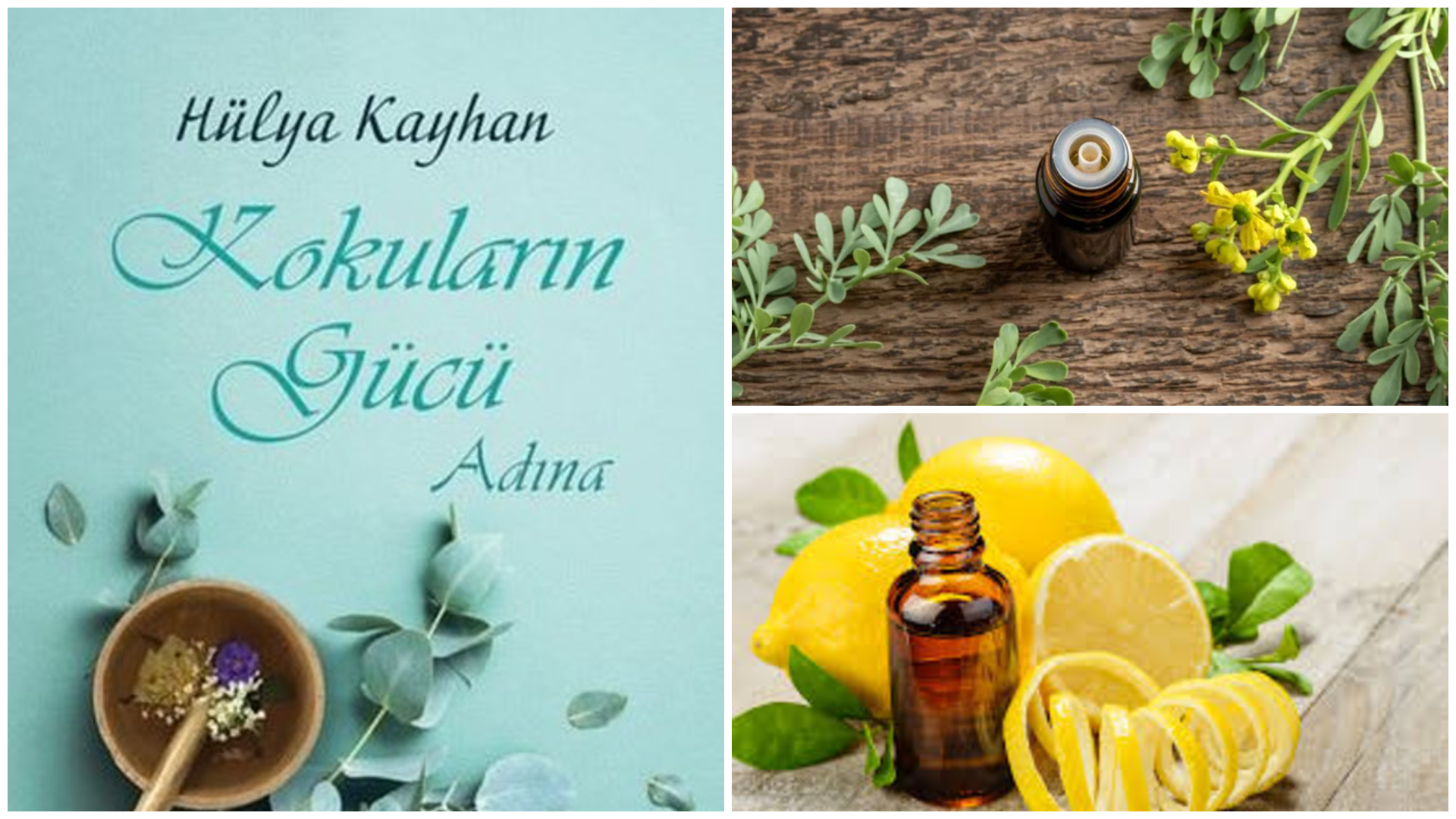 Kokularla gelen iyilik 